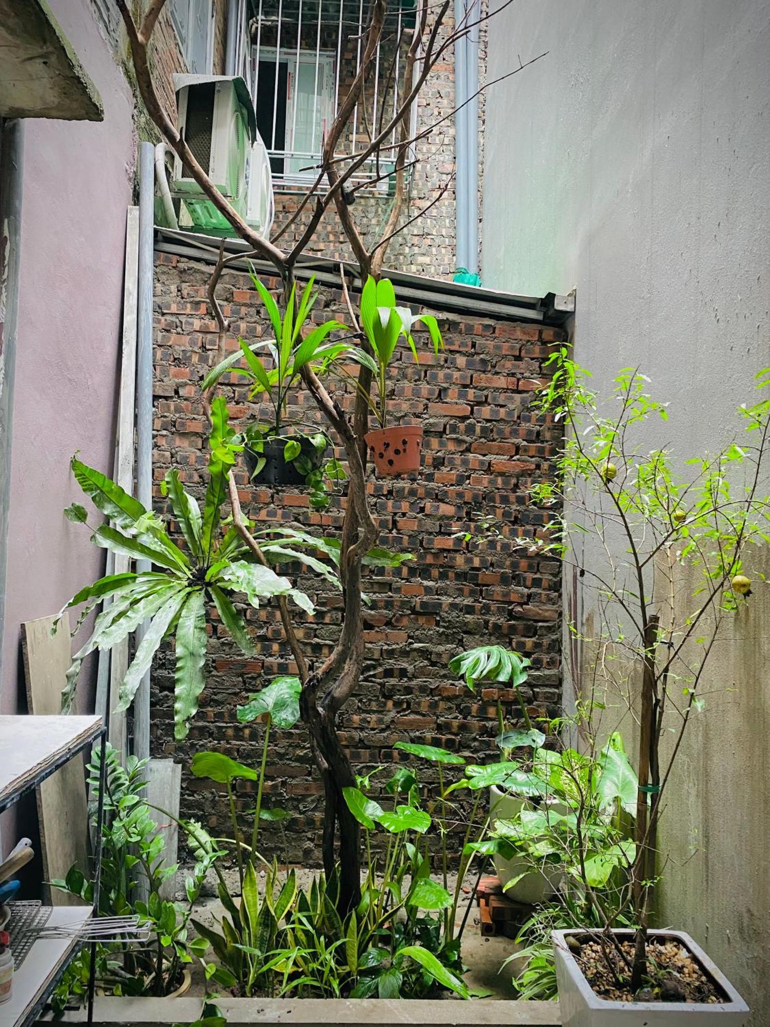 May's House Nha Cua *